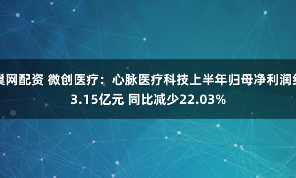巢网配资 微创医疗：心脉医疗科技上半年归母净利润约3.15亿元 同比减少22.03%