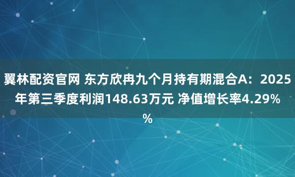 翼林配资官网 东方欣冉九个月持有期混合A:2025年第三季度利润148.63万元 净值增长率4.29%